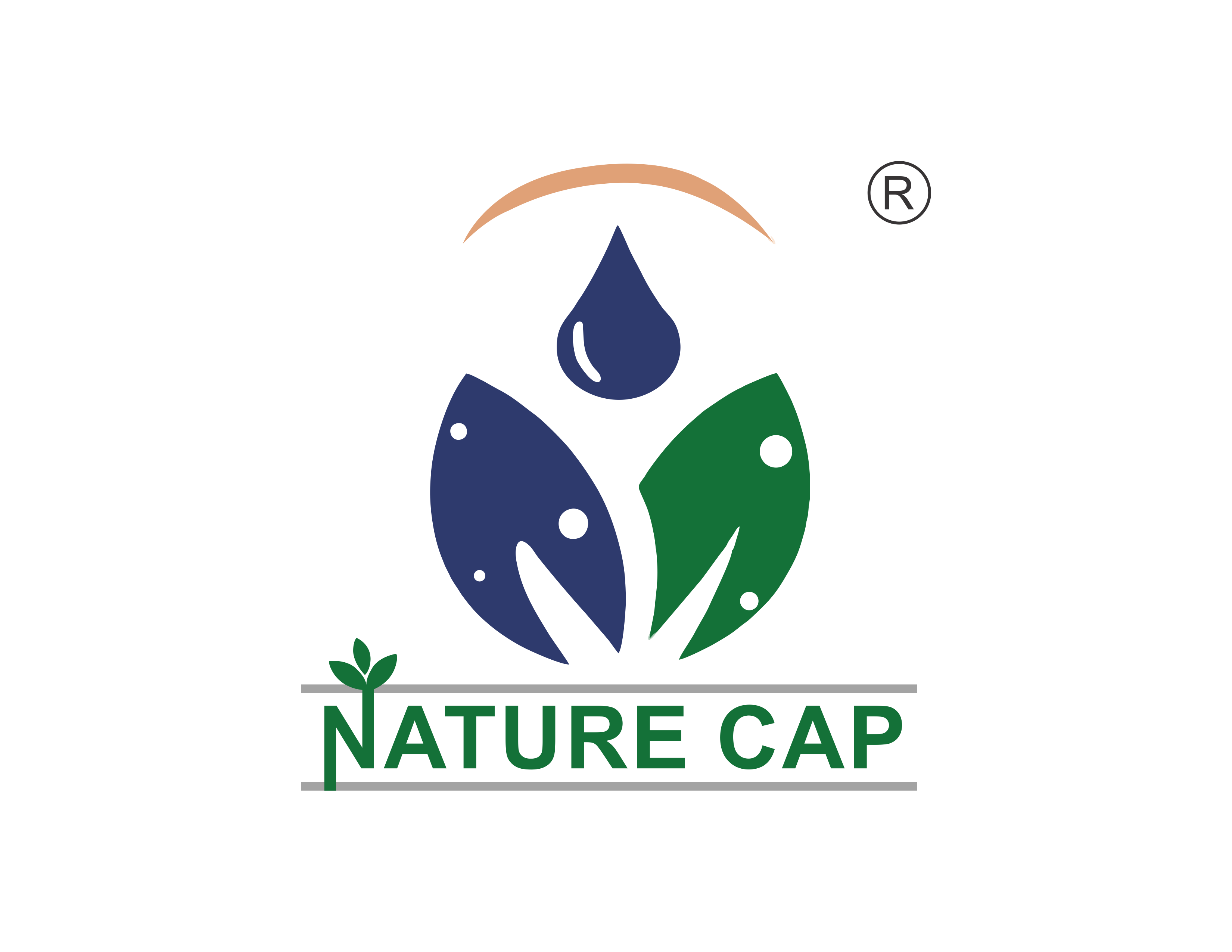 naturecaporganicfoods.com